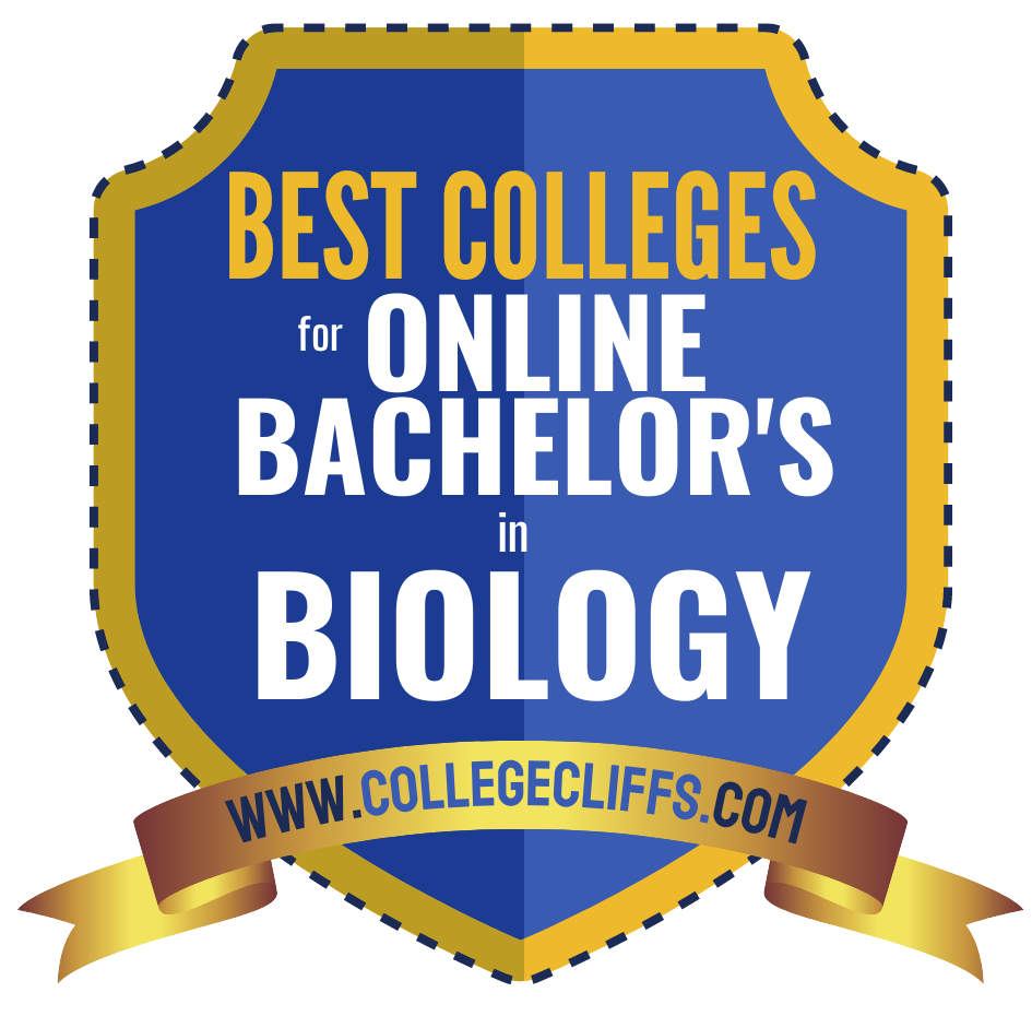 Bachelor colleges bachelors